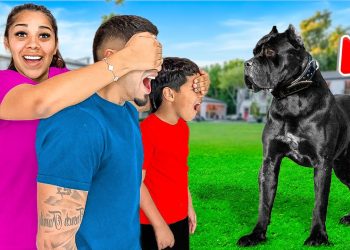 New Puppy Surprise! *OUR DREAM DOG*