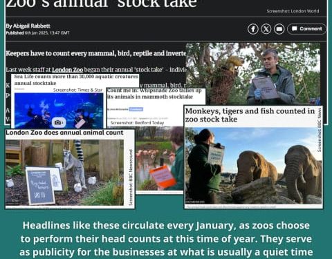 Taking Stock: What Counting Animals in Zoos is Really About