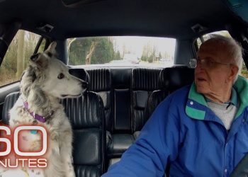 The smartest dog in the world | 60 Minutes Archive