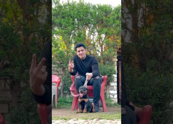 Which dog do you like the most?       #basemhunt #dog #rottweiler