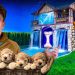 24 Hours Overnight In Worlds Biggest Dog House!! 24 Hours Overnight In Worlds Biggest Dog House!!