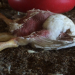 Doctors and Public Health Experts Address Whole Foods’ Chicken Cruelty in Open Letter Doctors and Public Health Experts Address Whole Foods’ Chicken Cruelty in Open Letter