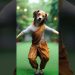 Dog dance #song #dog #doglover #dogdance #dogs #dogshorts #doglife #dogtraining Dog dance #song #dog #doglover #dogdance #dogs #dogshorts #doglife #dogtraining