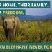 Donate to help animals in captivity Donate to help animals in captivity