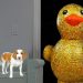Puppy Surprised with Giant Golden Rubber Duck! Cute Puppy Dog Indie Gets Epic Rubber Ducky Surprise Puppy Surprised with Giant Golden Rubber Duck! Cute Puppy Dog Indie Gets Epic Rubber Ducky Surprise