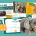 Adopt an Animal | Freedom for Animals Adopt an Animal | Freedom for Animals