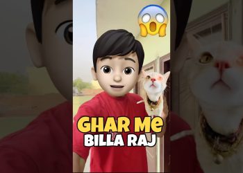 Billa Raj In House 😱 | #minivlog #shorts #cat #dog