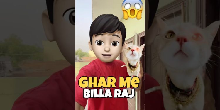 Billa Raj In House 😱 | #minivlog #shorts #cat #dog