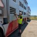 Live transport inspection in Portugal results in 178 infringements and 3 crimes reported Live transport inspection in Portugal results in 178 infringements and 3 crimes reported