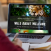 Wild Welfare US Marks Major Milestone with New Website Launch