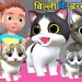 बिल्ली के बच्चे | Chintu aur Cat| Chintu cartoon | pagal beta | desi comedy video| cs bisht vines बिल्ली के बच्चे | Chintu aur Cat| Chintu cartoon | pagal beta | desi comedy video| cs bisht vines