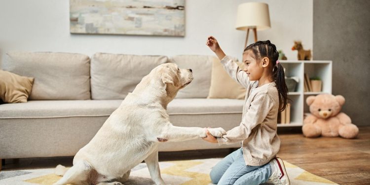 11 Brilliant Dog Breeds That Love to Learn New Tricks