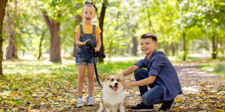 15 Gentle Dog Breeds That Are Kid-Friendly
