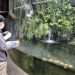 Animal Welfare in Japan’s Zoos: Training Auditors Animal Welfare in Japan’s Zoos: Training Auditors