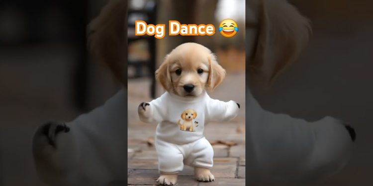 Dog Dance Motorcycle 🏍😂  #Dog #motorcycle #dance #dogdance #petdance #pet #goldenretriever