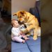 Dog feeds baby milk 😱🤣🍼👶🏻❤️🚀🌈✅ Dog feeds baby milk 😱🤣🍼👶🏻❤️🚀🌈✅