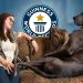 Great Dane is the World’s Tallest Dog – Guinness World Records Great Dane is the World’s Tallest Dog – Guinness World Records