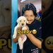 My New Puppy🐶😍 #shorts #vlog #minivlog #viral #puppy My New Puppy🐶😍 #shorts #vlog #minivlog #viral #puppy