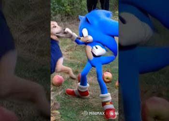 Sonic Steals the Chaos Emerald from Apple Dog! 🐶💎💨 #sonic3 #shorts  #4k
