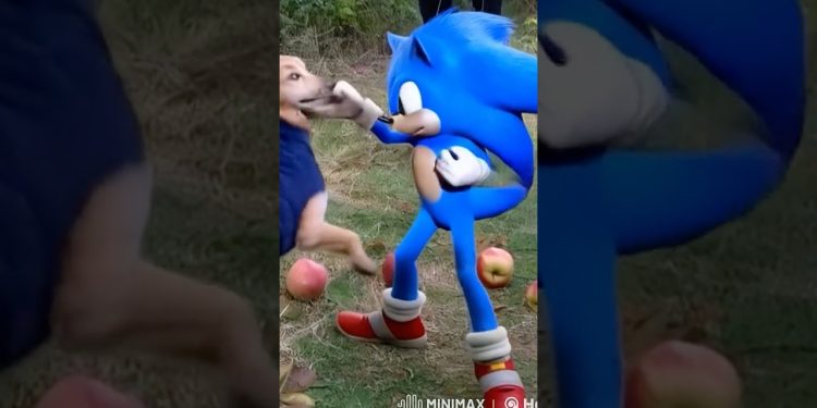 Sonic Steals the Chaos Emerald from Apple Dog! 🐶💎💨 #sonic3 #shorts  #4k