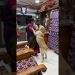 Super excited labrador dog #littlejohn #shorts Super excited labrador dog #littlejohn #shorts