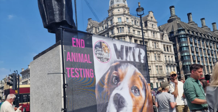 The making of the UK’s first anti-dairy TV and Cinema advert, plus an exclusive look at the UNCENSORED version