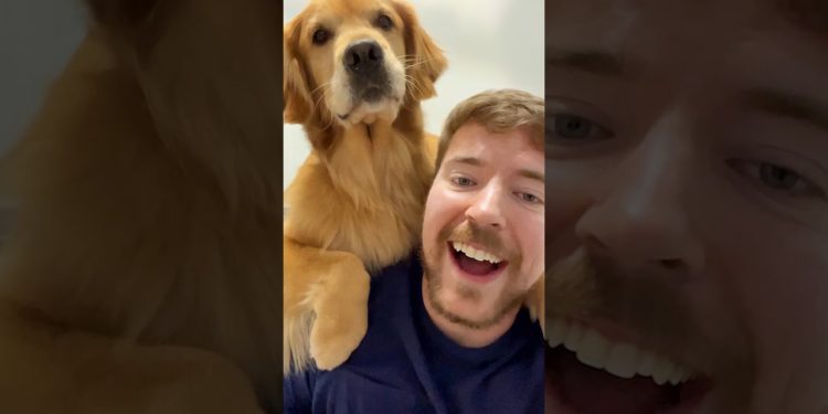 World’s Smartest Dog