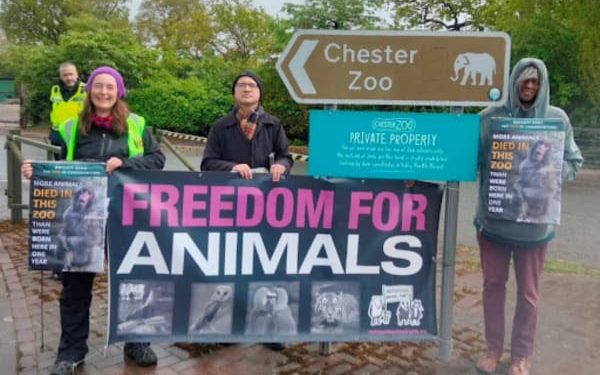 Zoo Awareness Weekend Appreciation Post