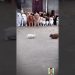 dog and rabbit fighting #bear  #animal #goatlovers #babygoat #funny #cute #goatsounds #baby #dog dog and rabbit fighting #bear  #animal #goatlovers #babygoat #funny #cute #goatsounds #baby #dog