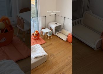 puppy’s apartment upgrade 🐾🐶 #puplove #dog #poodle #asmr #shorts