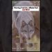 #wildlife #animals #wolf #wildanimals #dog #shorts #wildlife #animals #wolf #wildanimals #dog #shorts