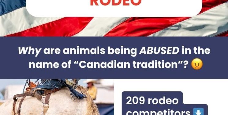 Calgary Stampede Animal Cruelty: American Riders, Canadian Victims