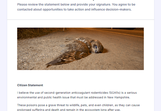Capturing Support for a Rodenticide Free NH