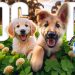 Dog TV for Dogs to Watch 🐶 Entertainment for Dogs 🎵 Relaxing Dog Music & Anti Anxiety Dog Home Alone Dog TV for Dogs to Watch 🐶 Entertainment for Dogs 🎵 Relaxing Dog Music & Anti Anxiety Dog Home Alone