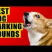 Dogs Barking Sounds Compilation (See How Your Dog REACTS). 15 Breeds Loud Dog Barking Sound Effect. Dogs Barking Sounds Compilation (See How Your Dog REACTS). 15 Breeds Loud Dog Barking Sound Effect.