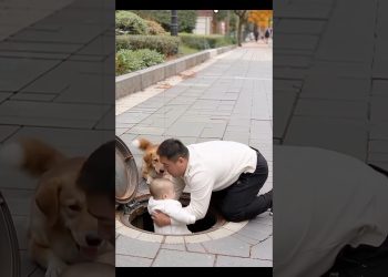 “Family’s Guardian Angel Dog”#dog #pets #shorts “                 Video Content Intended for Adults”