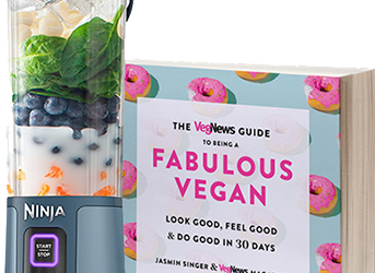 Encouraging Dog Lovers to Have Compassion for All Animals