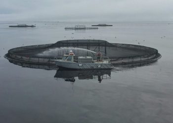 Marine Aquaculture: A Sea Of Problems?
