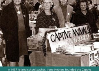 Our Experience Meeting Edinburgh Zoo’s Senior Staff