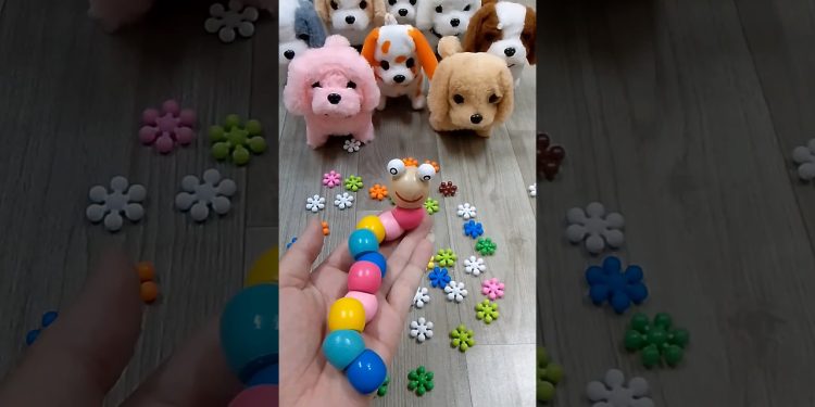 Rainbow 🌈 Satisfying Reverse video ASMR ( cute dog videos ASMR soud)#satisfyingreverse