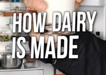 Revealing the Cold, Hard Truth About Dairy