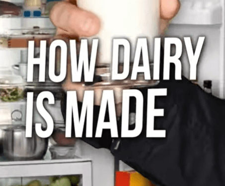 Revealing the Cold, Hard Truth About Dairy