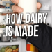 Revealing the Cold, Hard Truth About Dairy Revealing the Cold, Hard Truth About Dairy