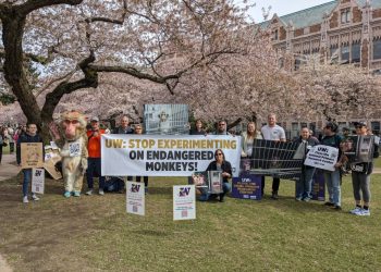 Some Experiments on Monkeys Suspended at UW – NARN