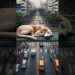 The Dog Man.Dog changes into a human form.#creativevfx #technologicalvfx #artisticvfx #vfx #creative The Dog Man.Dog changes into a human form.#creativevfx #technologicalvfx #artisticvfx #vfx #creative