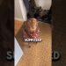 This dog thought she was left behind 🥹 #shorts This dog thought she was left behind 🥹 #shorts