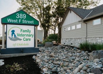 Top 10 Veterinary Clinics in Oakdale You Can Trust