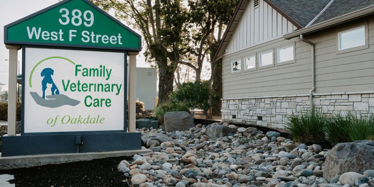 Top 10 Veterinary Clinics in Oakdale You Can Trust