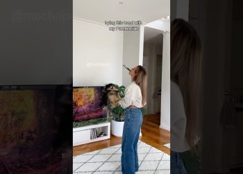 Trying the spinning trend with my Pomeranian 🥹 #dog #pomeranian