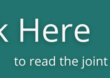 Animal Protection Groups Unite to Oppose Capybara Cafe